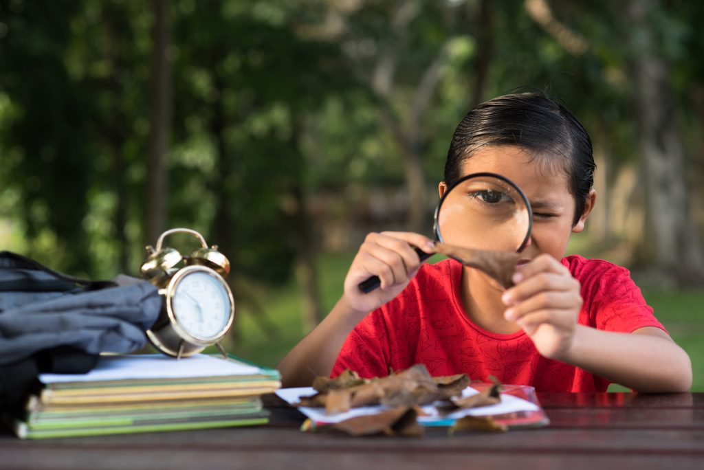 Routines Help with Self-Regulation and Focus