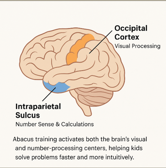 abacus learning