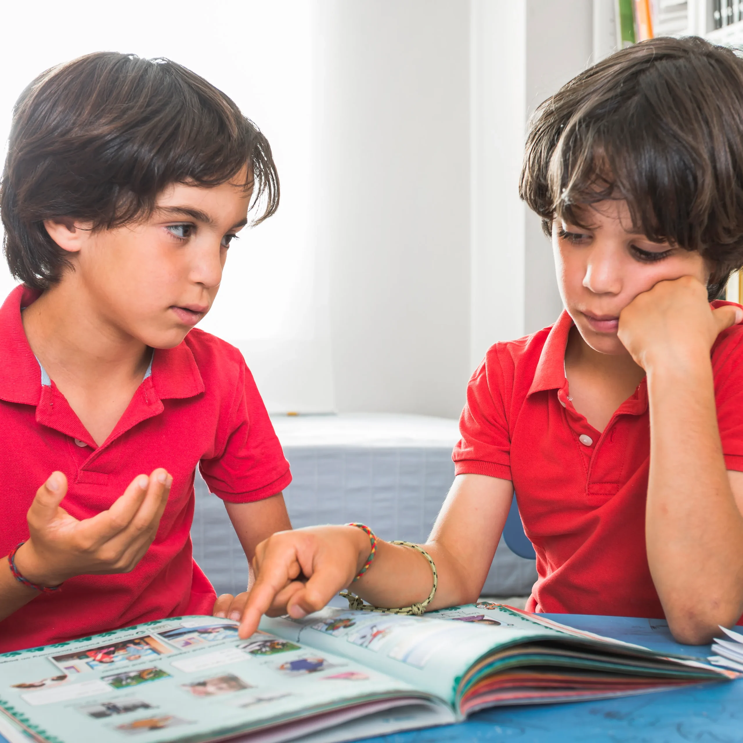 Brain Development Program